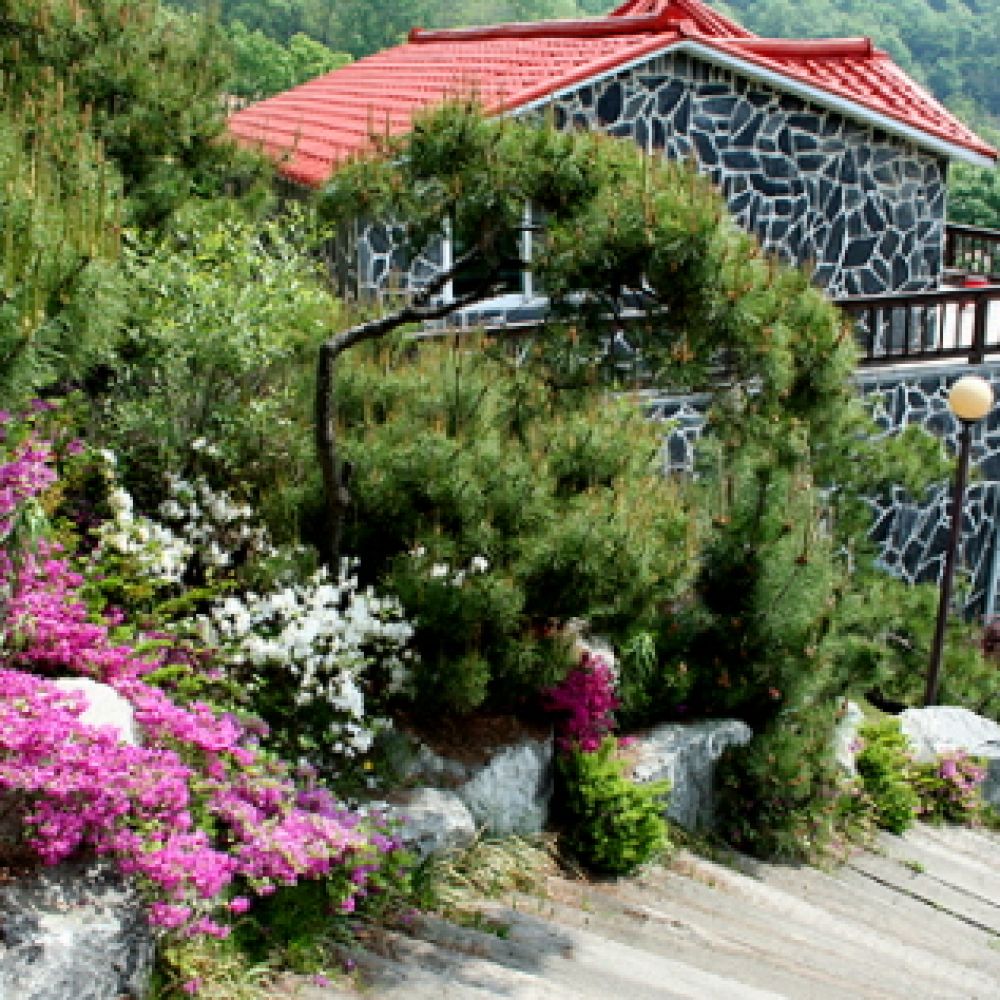 주간전경