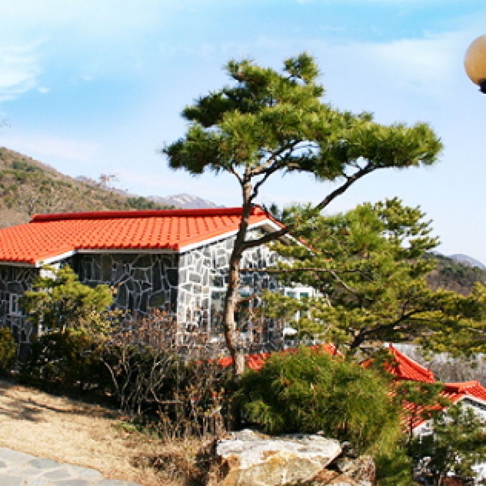 주간전경