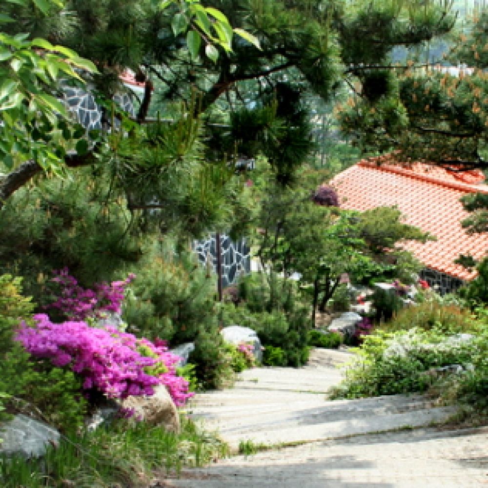 주변전경